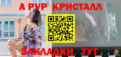 твердый Кингисепп