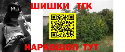 твердый Кингисепп