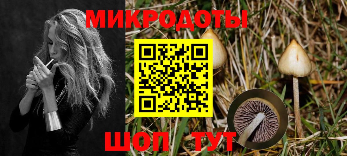 Псилоцибиновые грибы MAGIC MUSHROOMS  Вход с VPN  Коломна 