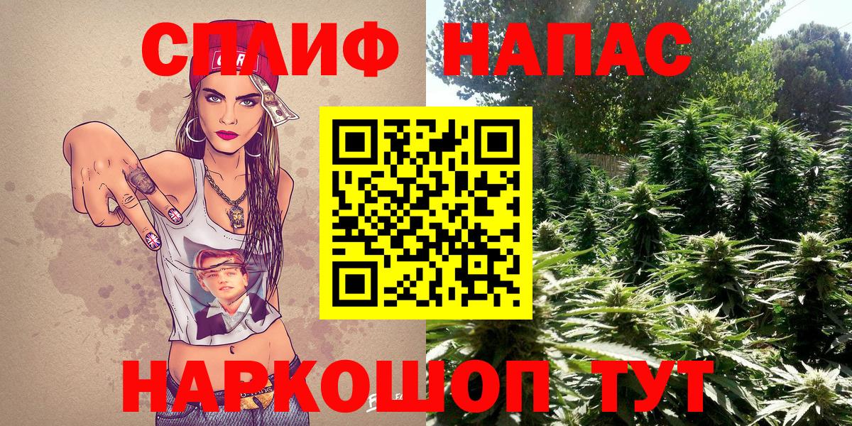 Конопля план  Марихуана конопля  Коломна  Вход с VPN 